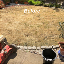 Dead lawn before a Lawn Makeover by GreenThumb Leicestershire West