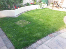 Nice new lawn by GreenThumb Bristol lawn after a Lawn Makeover