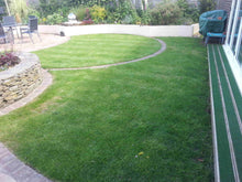 GreenThumb Bristol lawn after a Lawn Makeover