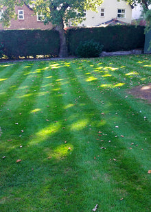 autumn lawn treated by GreenThumb Chester Northwich 