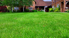 lush green lawn treated by GreenThumb Chester Northwich 
