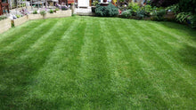 Lovely healthy green lawn tretaed by GreenThumb Christchurch