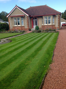 lush green front lawn with stripes treated by GreenThumb Glasgow