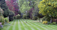A beautiful lawn treated by GreenThumb Doncaster East