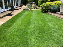 Lovely green colour on this lawn treated by GreenThumb Croydon and Bromley