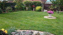 beautiful summer lawn treated by GreenThumb Peterborough