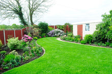 Vibrant lush lawn treated by GreenThumb Flintshire