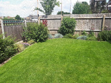 Healthy grass on a lawn treated by GreenThumb Croydon and Bromley