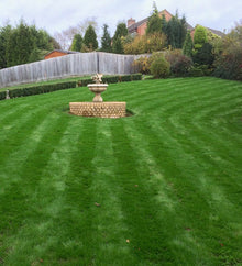 Lush green lawn with stripes after GreenThumb Kettering treatments 