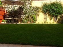 Small lush lawn treated by GreenThumb Gloucester Vale