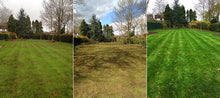 lawn before and after treated by GreenThumb Gravesend