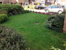 lush green lawn treated by GreenThumb Gravesend