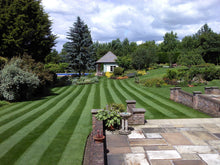 Beautiful GreenThumb Hampshire striped lawn 