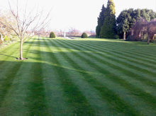Large lawn with stripes by GreenThumb Hastings