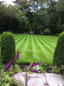A vibrant green lawn treated by GreenThumb Bolton West