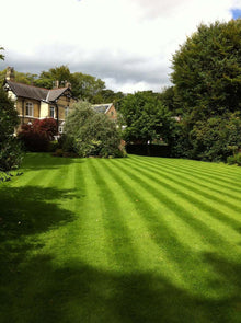 A large lush lawn that is treated by the GreenThumb Bolton West team