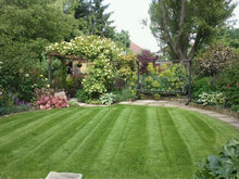 GreenThumb Barnet stripey lawn with plants, border and path