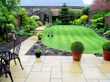 Small vibrant lawn treated by GreenThumb Gravesend