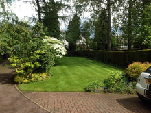 A lovely looking garden with vibrant green grass treated by the team at GreenThumb Leicestershire West