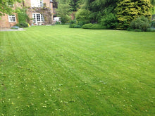 Large garden with a vibrant lawn treated by GreenThumb Leicestershire West