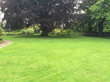 A large lawn treated by the team at GreenThumb Leicestershire West