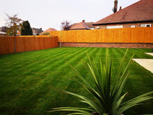 Stripes on a healthy lawn treated by GreenThumb Ashby