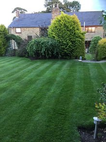 thick lush lawn treated by GreenThumb Denbighshire