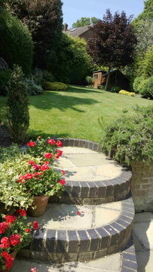 Lush lawn with steps treated by GreenThumb Kingston