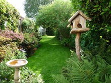 lush green lawn with a birdhouse treated by GreenThumb Kingston