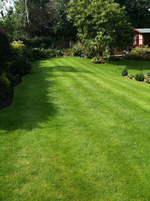 stripey Green Lawn treated by GreenThumb Staffordshire North