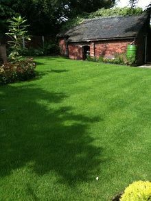 lovely Green Lawn treated by GreenThumb Staffordshire North