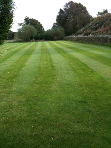 striped Green Lawn treated by GreenThumb Staffordshire North