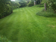 large striped Lawn treated by Staffordshire Moorlands 
