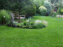 A beautiful garden with a lovely lawn treated by GreenThumb Basingstoke