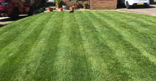 Large lawn treated by GreenThumb Notts North