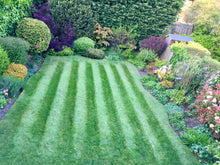 Summer lawn treated by GreenThumb Notts North