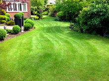 Vibrant lawn treated by GreenThumb Notts North