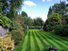 A Birmingham North treated lawn that is a rich green colour