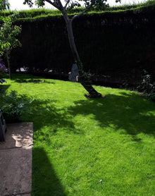 small green lawn lawn treated by GreenThumb Dudley