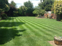 large lawn with stripes treated by GreenThumb Birmingham South West & GreenThumb Dudley