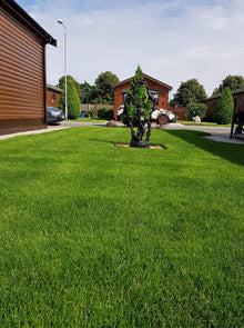 GreenThumb Lincoln green lawns with trees