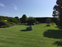 Large lush green lawn by GreenThumb Hastings