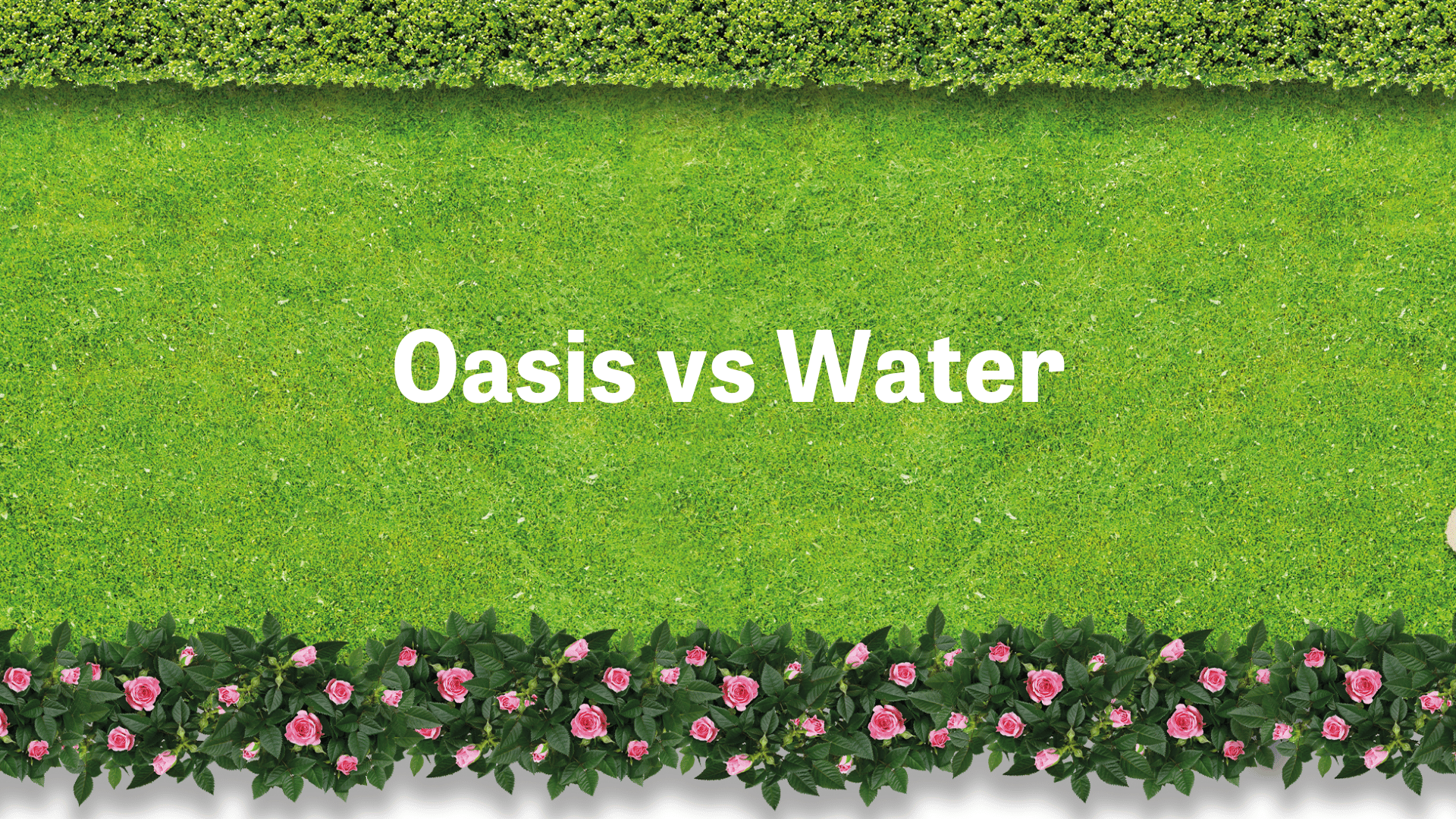 Load video: A video showing the benefits of GreenThumb Oasis Water Conservor to lawns.