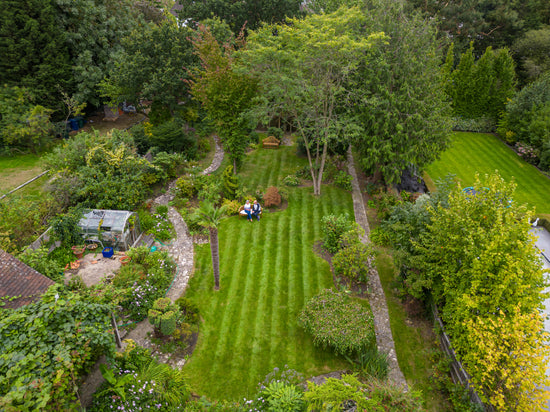 GreenThumb Lawn Care Treatment for Healthier Grass