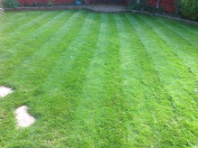 Green striped lawn treated by GreenThumb Milton Keynes