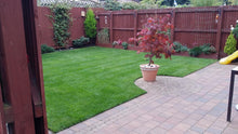 small lush green lawn treated by GreenThumb Falkirk