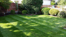 Stripes on a lovely healthy lawn treated by the team at GreenThumb Croydon and Bromley