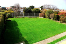 lush green lawn treated by GreenThumb Denbighshire