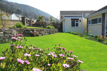 beautiful spring lawn treated by GreenThumb Gwynedd
