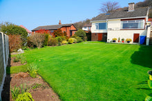 vibrant green lawn treated by GreenThumb Gwynedd